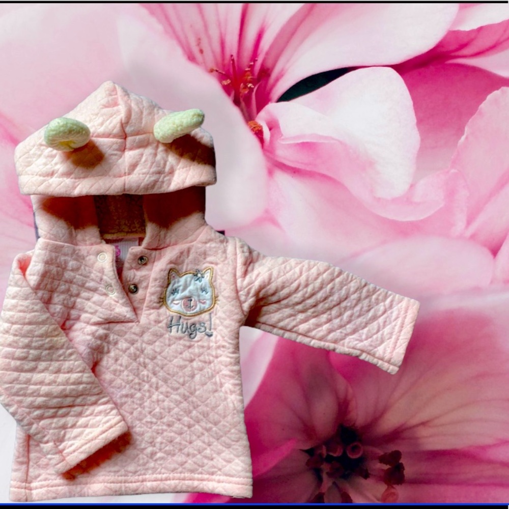 Duck Duck 🦆 Goose Pink Hoodie